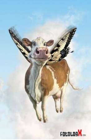 Las vacas que vuelan el Missipi